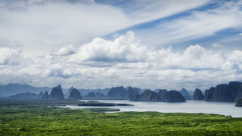 女主的工作是小三劝退师 女主的职业是小三劝退师小说？-第1张图片-和乐夫妻百科